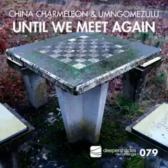 Until We Meet Again - Single by China Charmeleon & UMngomezulu album reviews, ratings, credits