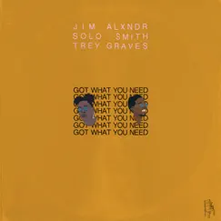 Got What You Need (feat. Solo Smith, Trey Graves & James Vincent) Song Lyrics