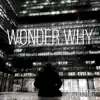 Wonder Why (Acoustic) [Acoustic] - Single album lyrics, reviews, download