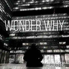 Wonder Why (Acoustic) [Acoustic] - Single by The Capsized album reviews, ratings, credits