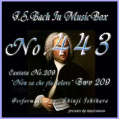 J.S.Bach:Non sa che sia dolore, BWV 209 (Musical Box) - EP by Shinji Ishihara album reviews, ratings, credits