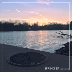 Spring EP by Joe Paquin album reviews, ratings, credits