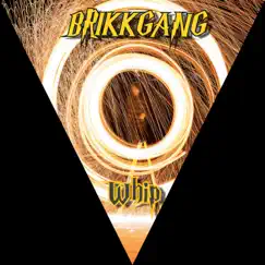 Whip - Single by BRIKKGANG & Yung Money album reviews, ratings, credits