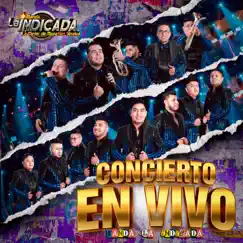 El Borracho (En Vivo) Song Lyrics