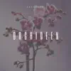 Orchideen - Single album lyrics, reviews, download