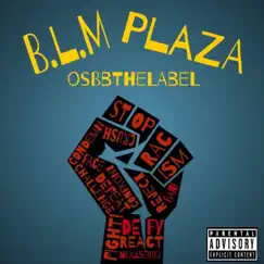 B.L.M Plaza - Single by BigVo & BGA album reviews, ratings, credits