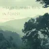 Heavy Summer Rain with Thunder in Forest for Relaxation, Deep Sleep, Insomnia, Meditation and Study - Single album lyrics, reviews, download