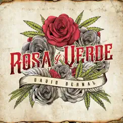 Rosa y Verde Song Lyrics