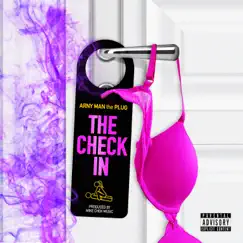 The Check In by Arny & Mike Chek Music album reviews, ratings, credits