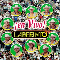 ¡En Vivo! by Grupo Laberinto album reviews, ratings, credits