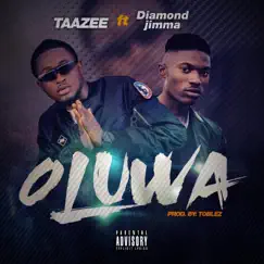 Oluwa - Single by Taazee album reviews, ratings, credits