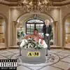 Amigo Money album lyrics, reviews, download