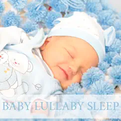 Baby Lullaby Sleep by Baby Lullaby Relax USA album reviews, ratings, credits