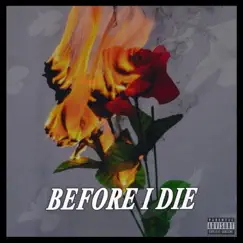 Before I Die (100 Mill) - Single by Will T album reviews, ratings, credits
