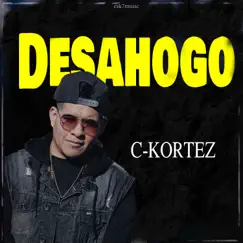 Desahogo Song Lyrics