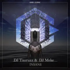 Insane - Single by Dj Tauruzz & DJ Meke album reviews, ratings, credits