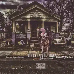 Birds in the Trap - Single by Kashwitdabag album reviews, ratings, credits