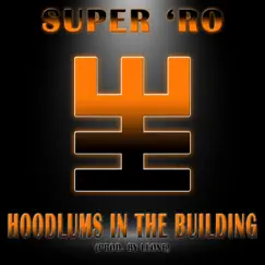 Hoodlums In the Building - Single by Super Ro album reviews, ratings, credits