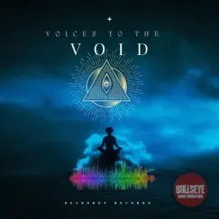 Voices To the Void - Single by Slick Alaniz album reviews, ratings, credits