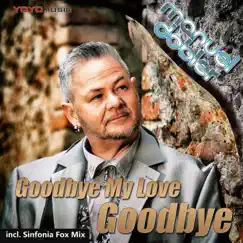 Goodbye My Love, Goodbye (Radio Version) Song Lyrics