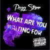 What Are You Waiting for (feat. Peter Leo & Stone) - Single album lyrics, reviews, download