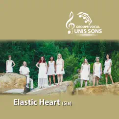 Elastic Heart (Sia) Song Lyrics