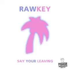 Say Your Leaving - Single by Rawkey album reviews, ratings, credits
