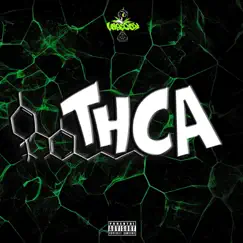 Thca by Vape City Kamp album reviews, ratings, credits