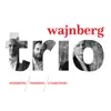 Weinberg, Tansman & A. Tchaikovsky: Trios album lyrics, reviews, download