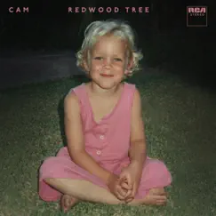 Redwood Tree Song Lyrics