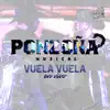 Vuela, Vuela (En Vivo) - Single album lyrics, reviews, download