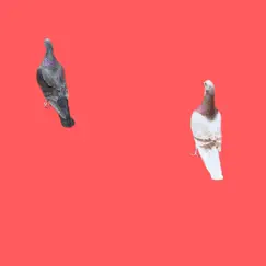 Weathered Rocks (feat. Mel Yaris) - Single by Daniel Feinberg album reviews, ratings, credits