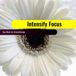 Intensify Focus: Spa Music for Aromatherapy by Various Artists album reviews, ratings, credits