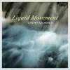 Liquid Movement album lyrics, reviews, download