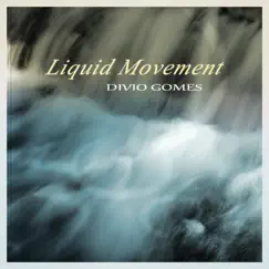 Liquid Movement by Divio Gomes album reviews, ratings, credits