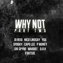 Why Not, Pt. 2 by Capo Lee album reviews, ratings, credits