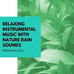Relaxing Instrumental Music with Nature Rain Sounds by Meditation Day album reviews, ratings, credits