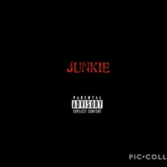 Junkie - Single by Dj Sebastián The Kingboy album reviews, ratings, credits