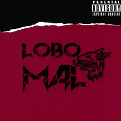 Lobo Mal Song Lyrics