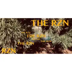 The Rzn - Single by Nine4 album reviews, ratings, credits