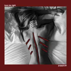 Love Me Right - Single by Yuppycult album reviews, ratings, credits