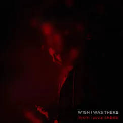 Wish I Was There Song Lyrics