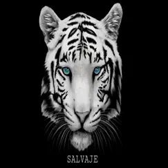 Salvaje - Single by Danniloox album reviews, ratings, credits
