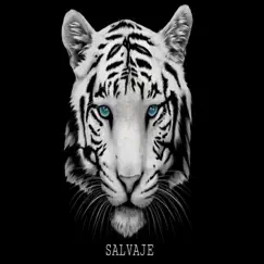 Salvaje Song Lyrics