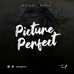 Picture Perfect - Single by Tylerdgenius album reviews, ratings, credits