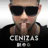 Cenizas - Single album lyrics, reviews, download