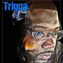 2 Much - Single by Trigga album reviews, ratings, credits