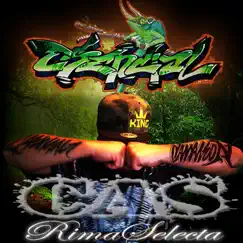 RimaSelecta by Esencial Camaleón album reviews, ratings, credits