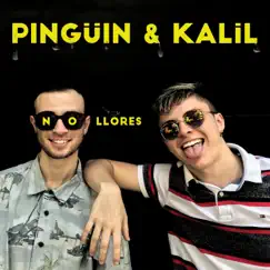 No Llores (feat. K.A.L.I.L.) - Single by Pingüin album reviews, ratings, credits