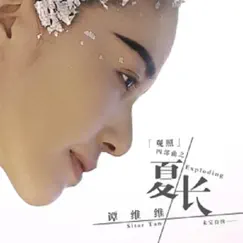 夏長 - Single by Tan Wei Wei album reviews, ratings, credits